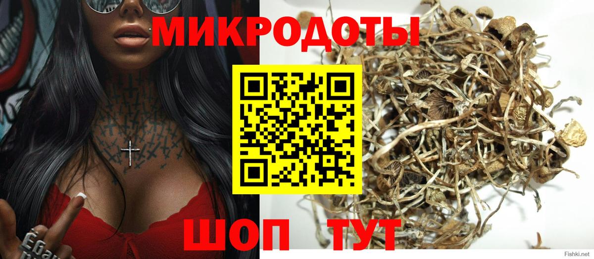Псилоцибиновые грибы Cubensis  Вход с VPN  Новосибирск 